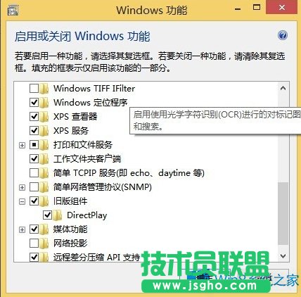 Win8.1Ϸʾrequires at least directx version 9.0ô죿