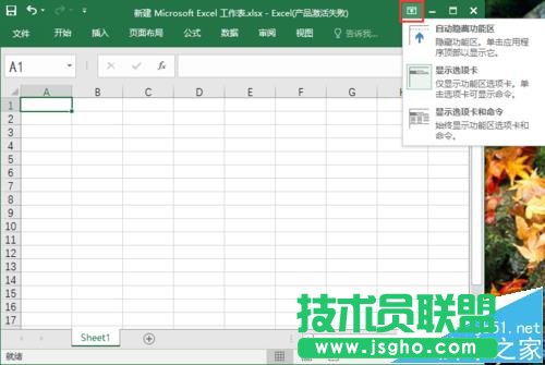 excel2016ôʾ/?