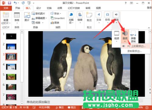 PowerPoint2013иֵϸ