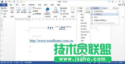 Word2013ôĵժҪ͹ؼ֣   