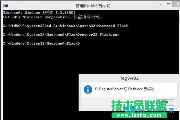 Win8ϵͳFlashʧô죿Flash޸