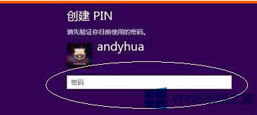 Win8 PIN½ã